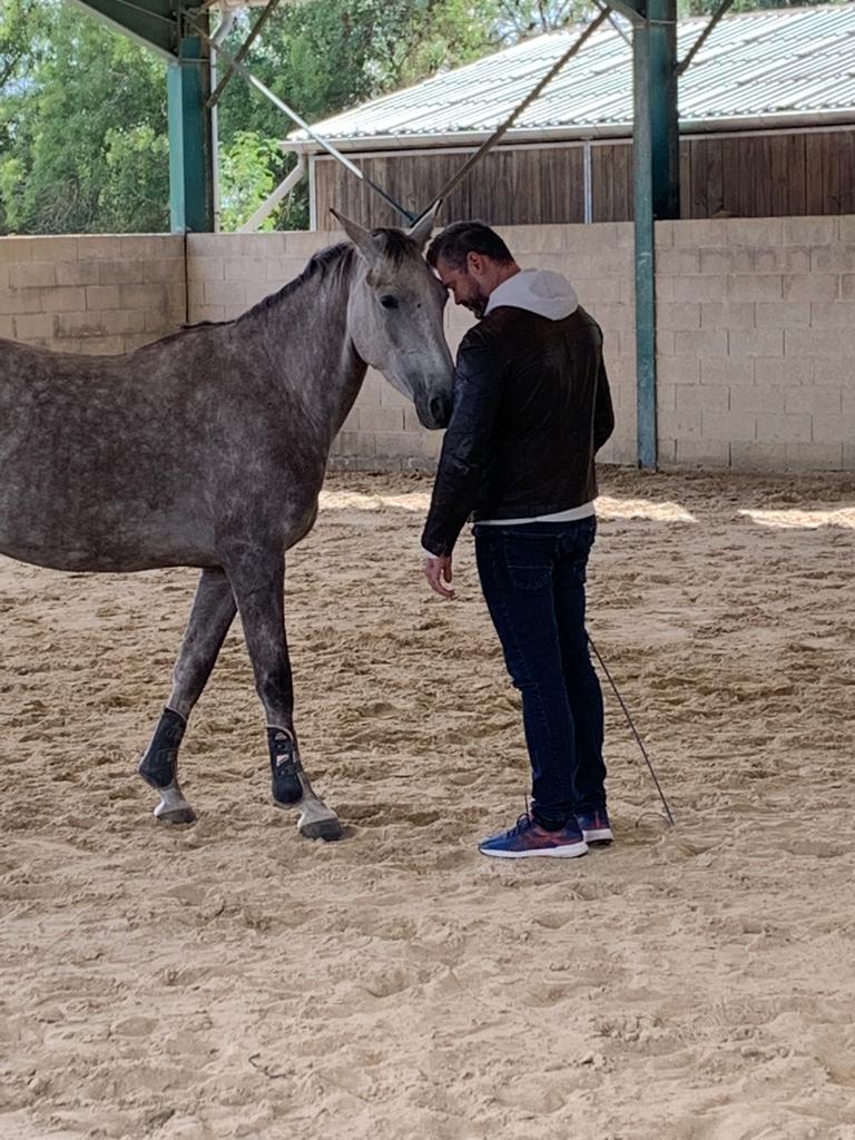 Séance d’équicoaching individuelle avec un cheval pour mieux se connaître et retrouver de la clarté.